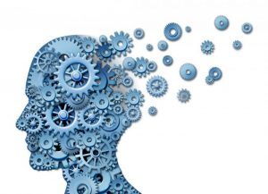 Brain Loss Interpersonal Neurobiology: A New Perspective